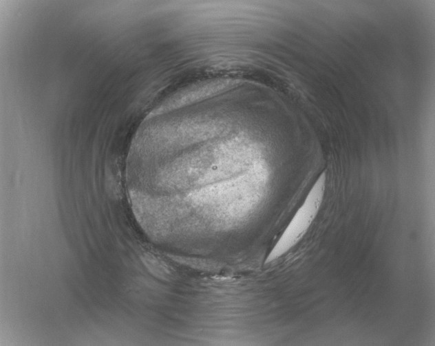 X0000061150868200512022312