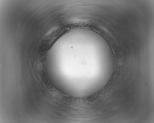 X0000061150869200512022312