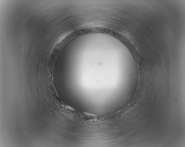 X0000061150871200512022311