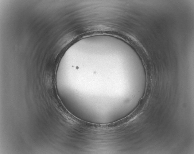 X0000061150873200512022311