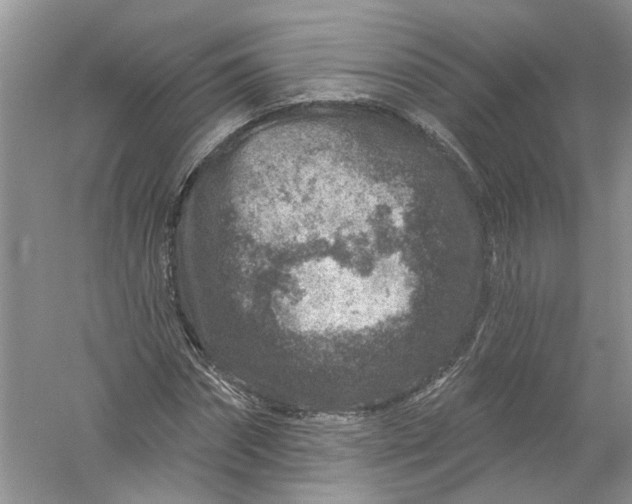 X0000061150874200512022311