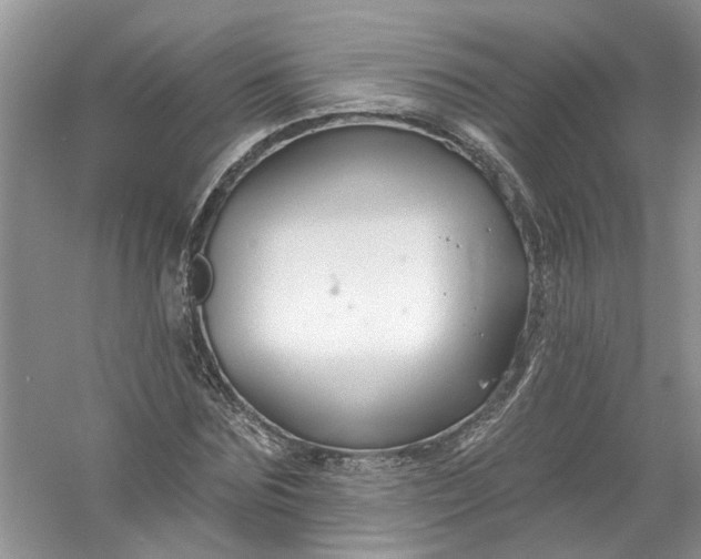 X0000061150875200512022311