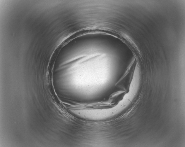 X0000061150876200512022311