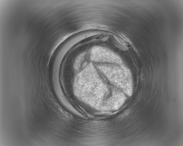 X0000061150877200512022311