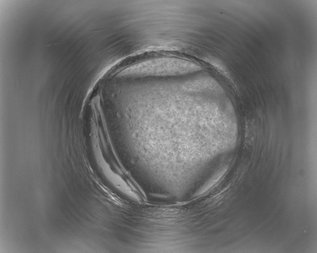 X0000061150878200512022311