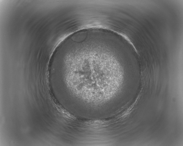 X0000061150879200512022311