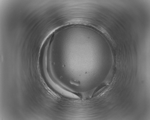 X0000061150880200512022311