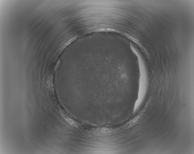 X0000061150881200512022311