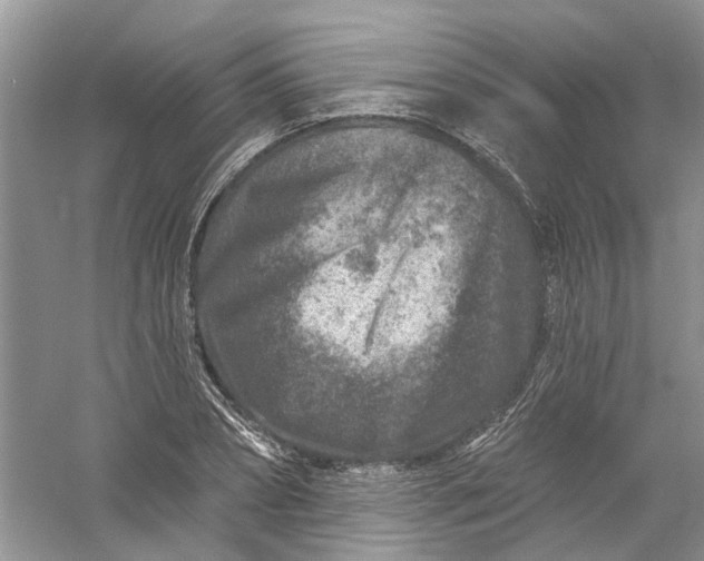 X0000061150882200512022311