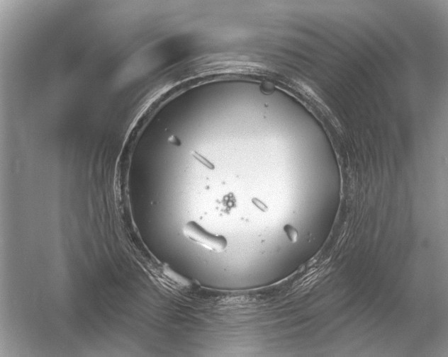 X0000061150883200512022311