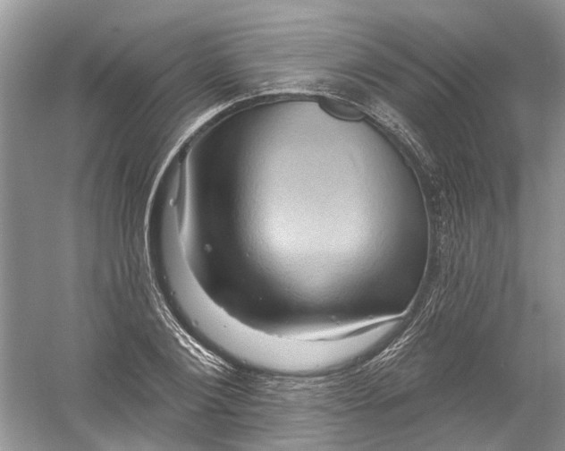 X0000061150884200512022311