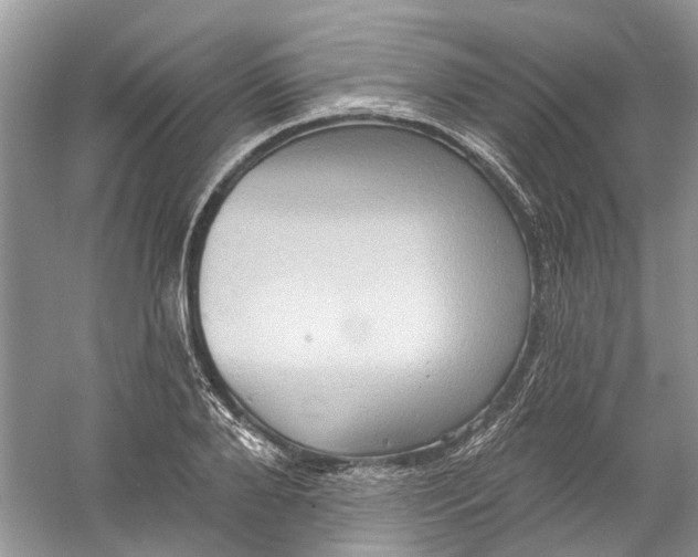 X0000061150888200512022311