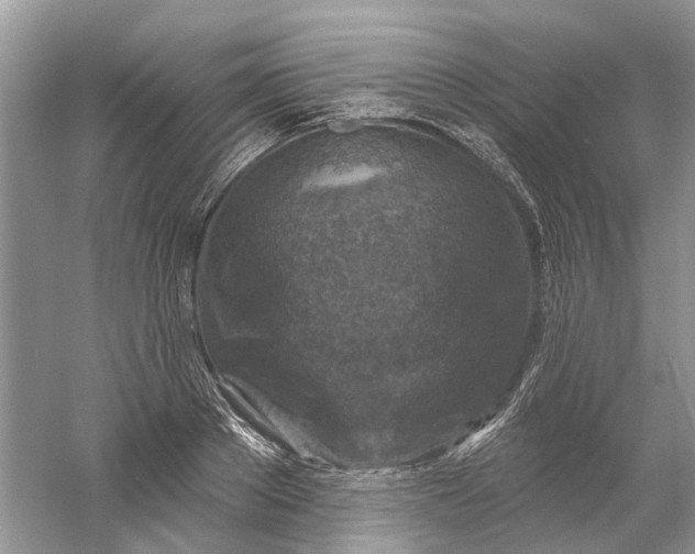 X0000061150889200512022311