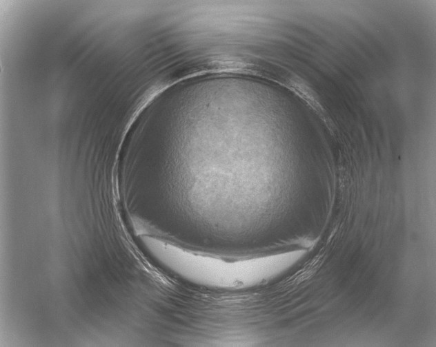 X0000061150891200512022311