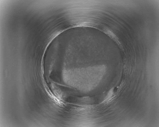 X0000061150892200512022311