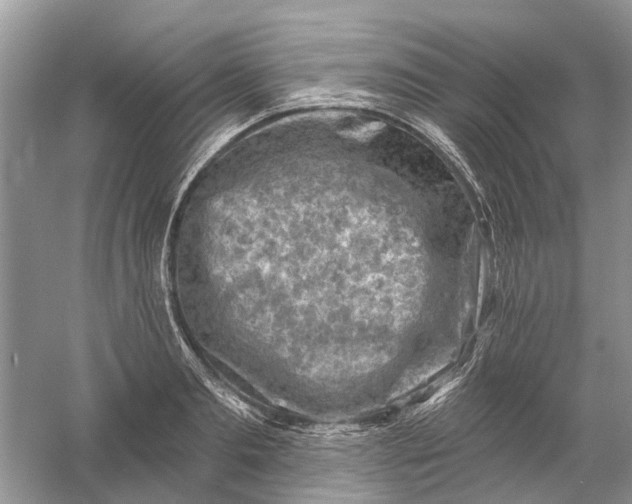 X0000061150893200512022311