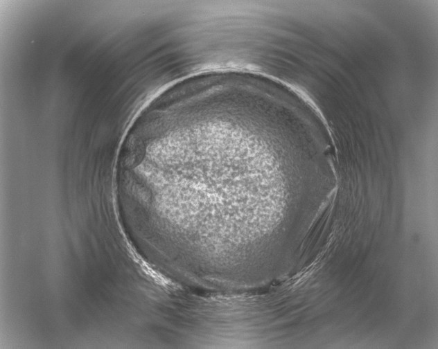 X0000061150895200512022311