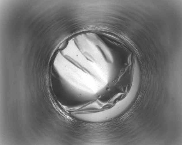 X0000061150896200512022311