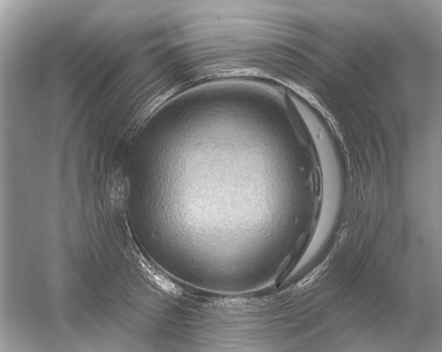 X0000061150897200512022311