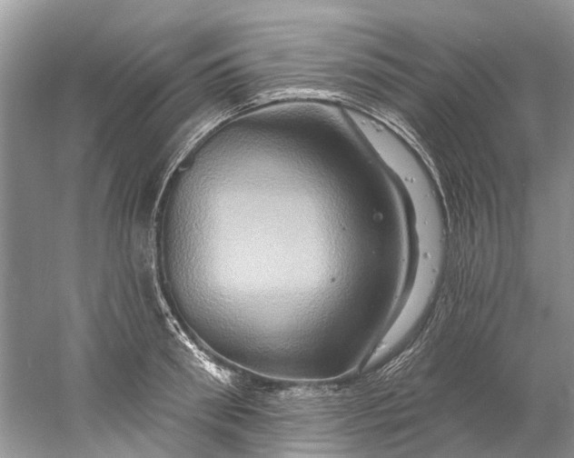 X0000061150898200512022311