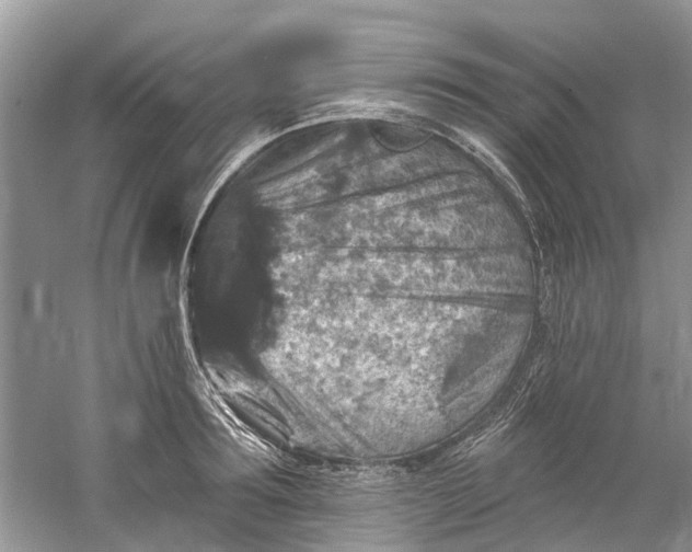 X0000061150899200512022311