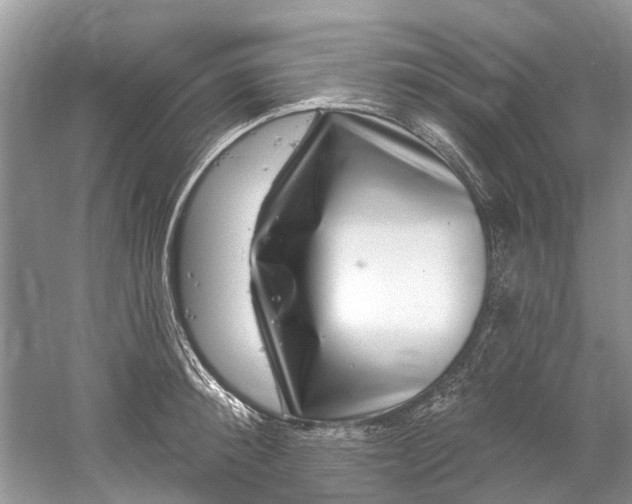 X0000061150900200512022311