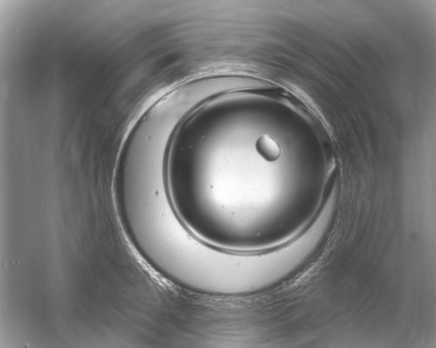 X0000061150901200512022311