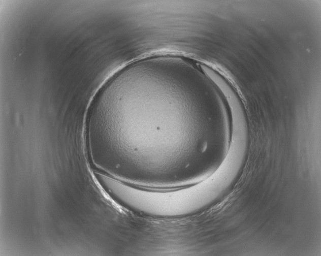 X0000061150902200512022311