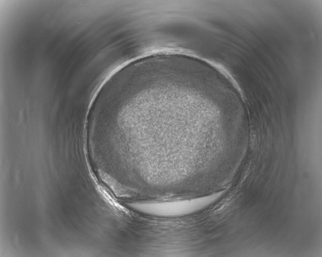 X0000061150903200512022311