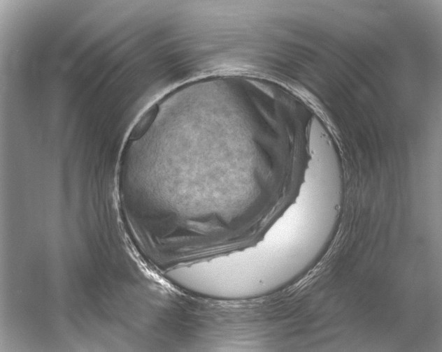 X0000061150904200512022311