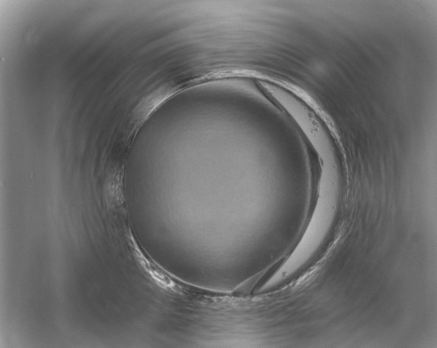 X0000061150905200512022311