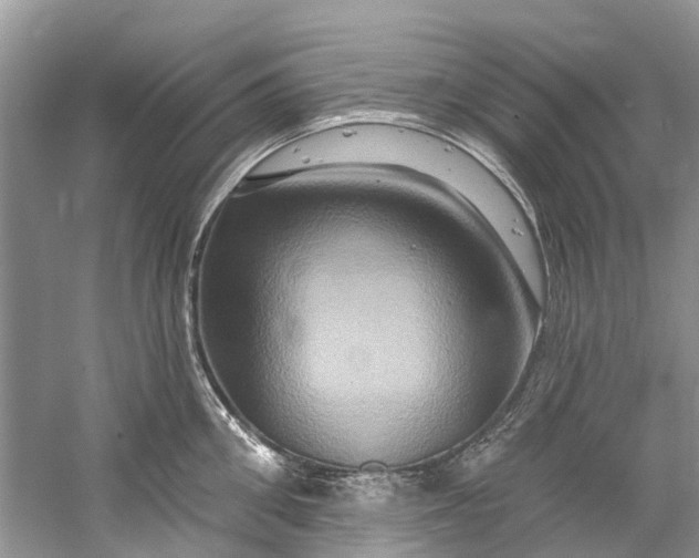 X0000061150906200512022311