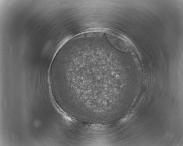 X0000061150907200512022311