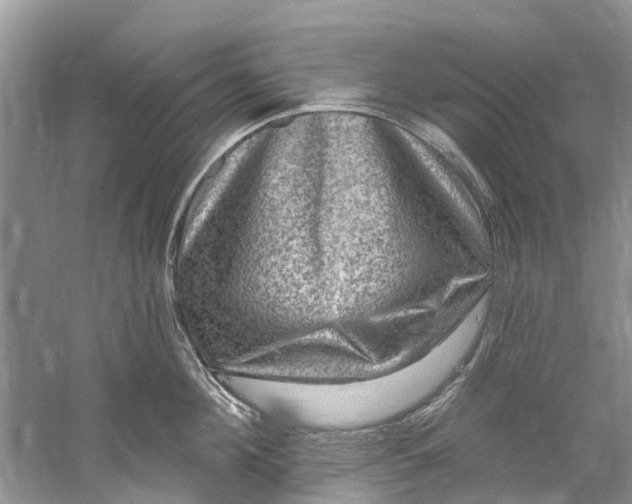 X0000061150908200512022311