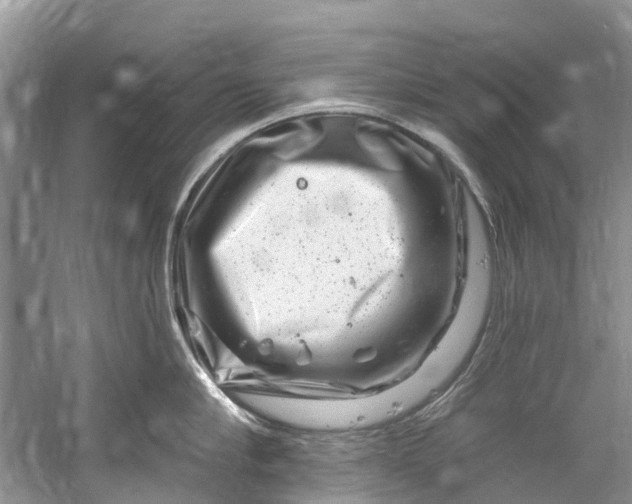 X0000061150910200512022311