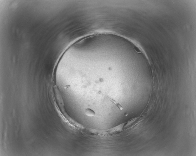 X0000061150911200512022311