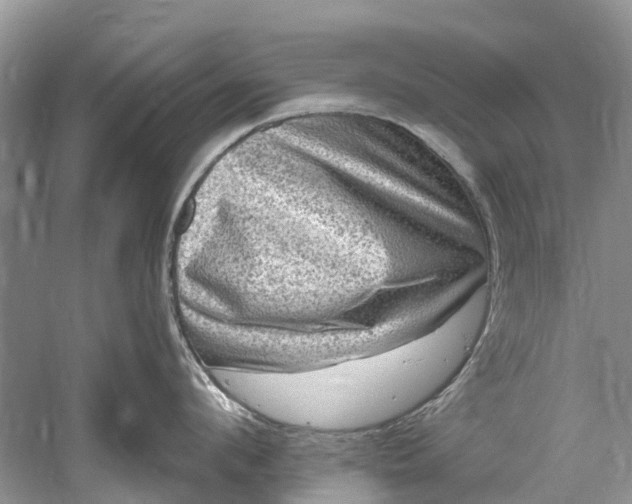 X0000061150912200512022311