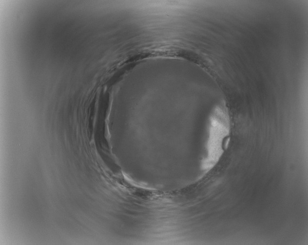 X0000061150913200512022310