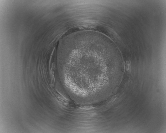 X0000061150915200512022310