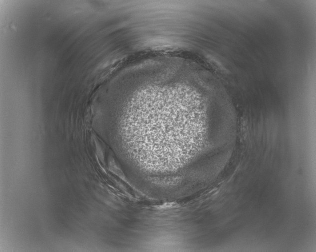 X0000061150917200512022310