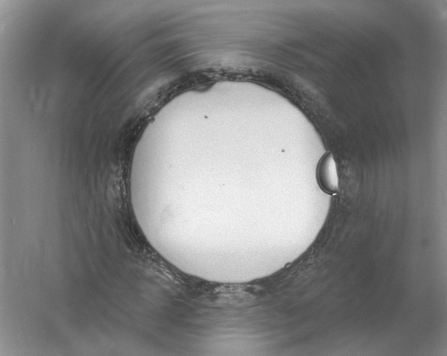 X0000061150918200512022310