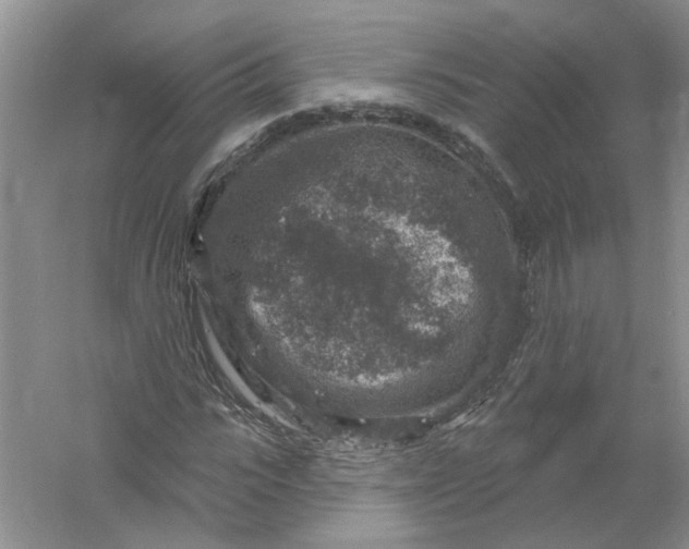 X0000061150919200512022310