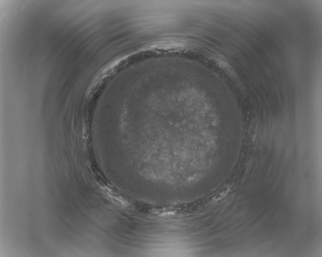 X0000061150920200512022310