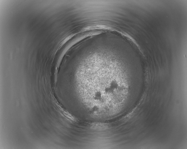 X0000061150921200512022310