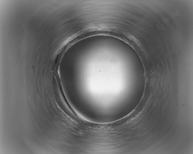 X0000061150922200512022310