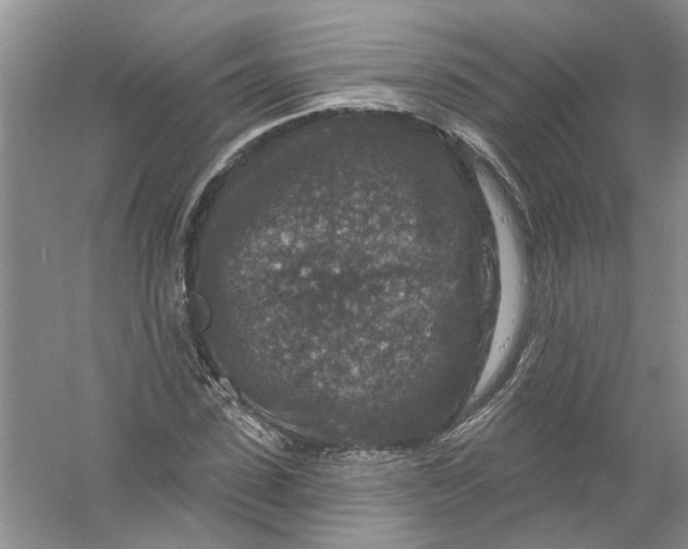 X0000061150923200512022310