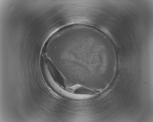 X0000061150924200512022310