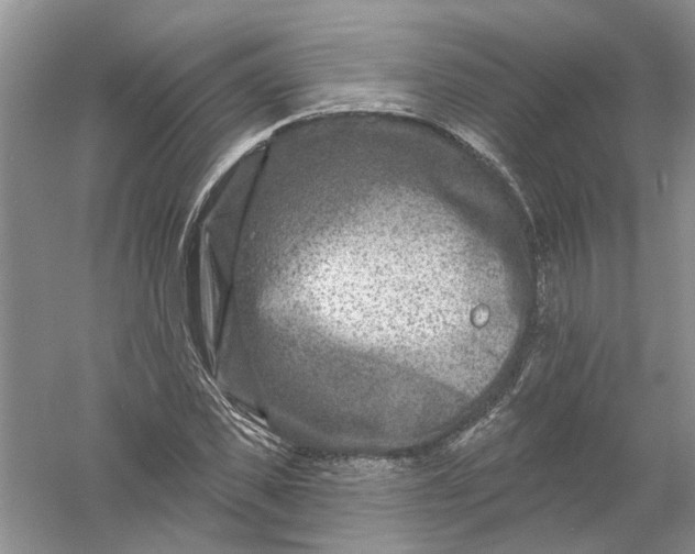 X0000061150925200512022310