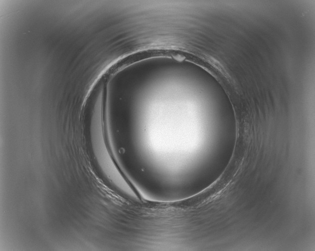 X0000061150926200512022310