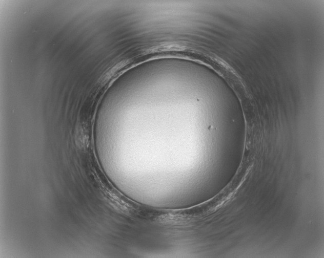 X0000061150929200512022310